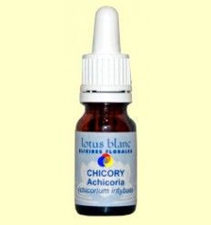 Achicoria - Chicory - Lotus Blanc - 10 ml