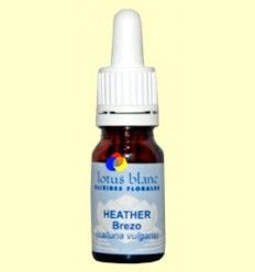 Brezo - Heather - Lotus Blanc - 10 ml