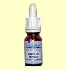 Mímulo - Mimulus - Lotus Blanc - 10 ml