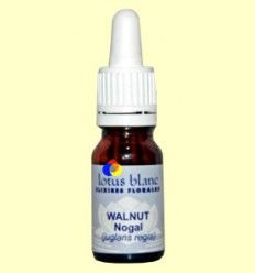 Nogal - Walnut - Lotus Blanc - 30 ml
