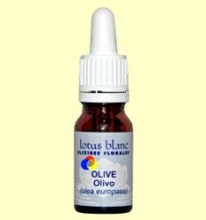 Olivo - Olive - Lotus Blanc - 30 ml