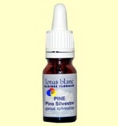 Pino Silvestre - Pine - Lotus Blanc - 10 ml