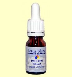 Sauce - Willow - Lotus Blanc - 10 ml