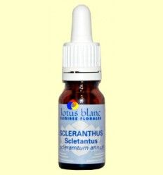 Sclerantus - Scleranthus - Lotus Blanc - 30 ml