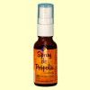 Spray de Própolis Ecológica - Propolmel - 20 ml