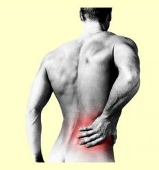 Información - Dolor de Espalda y Estrés por Jordi Gracia - Artículo Informativo