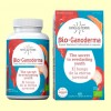 Bio Ganoderma - Reishi y Vitamina D - Hifas da Terra - 60 cápsulas