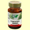 Fosfatidil Serina - CFN Laboratorios - 30 cápsulas