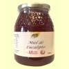 Miel de Eucalipto - Michel Merlet - 1 kg 