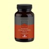 Cordiceps 500 mg - Terra Nova - 50 cápsulas