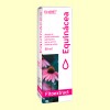 Equinácea Fitoextract Concentrado - Eladiet - 50 ml