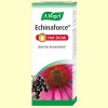 Echinaforce Hot Drink - A. Vogel - 100 ml