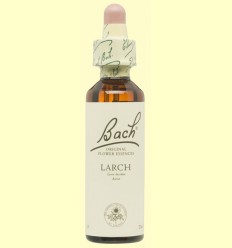 Alerce - Larch - Bach - 20 ml