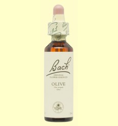 Olivo - Olive - Bach - 20 ml