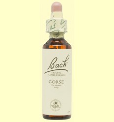 Aulaga - Gorse - Bach - 20 ml