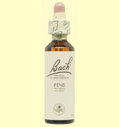 Pino - Pine - Bach - 20 ml