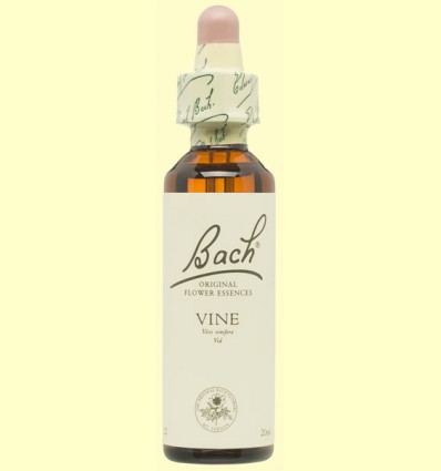 Vid - Vine - Bach - 20 ml