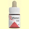 Raphanus Gotas - Cochlearia Extracto líquido - Codival - 30 ml
