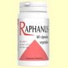 Raphanus - Raíz de Cochlearea - Codival - 60 cápsulas
