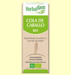 Cola de Caballo Bio - Yemoterapia - HerbalGem - 15 ml