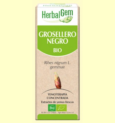Grosellero Negro Bio - Yemoterapia - HerbalGem - 15 ml