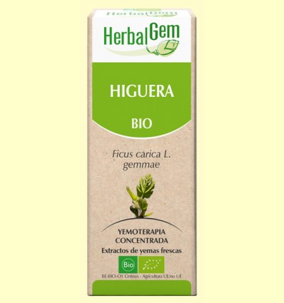 Higuera - Ficus Carica Gemmae Bio - HerbalGem - 15 ml