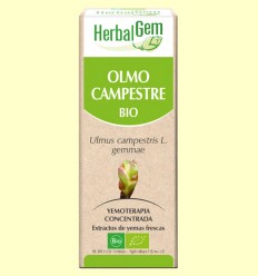 Olmo Campestre Bio - Yemoterapia - HerbalGem - 50 ml
