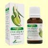 Aceite Esencial de Eucalipto - Soria Natural - 15 ml