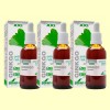 Ginkgo Biloba Fórmula XXI - Extracto Natural - Soria Natural - Pack 3 x 50 ml