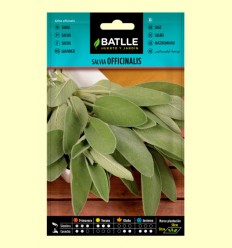 Semillas de Salvia Officinalis - Batlle - 1,5 gramos