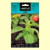 Semillas de Stevia - Batlle - 35 semillas