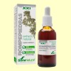 Rompepiedras Extracto S XXI - Soria Natural - Pack 3 x 50 ml