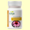 Equinácea - Sotya - 100 comprimidos