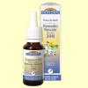 Remedio Rescate Noche - Biofloral - 20 ml