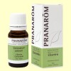 Cilantro - Aceite Esencial - Pranarom - 10 ml