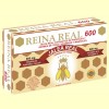 Reina Real 600 - Jalea Real con Propóleo - Robis - 20 ampollas