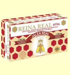 Reina Real Vital - Jalea Real - Robis - 30 ampollas