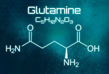 l-glutamina propiedades