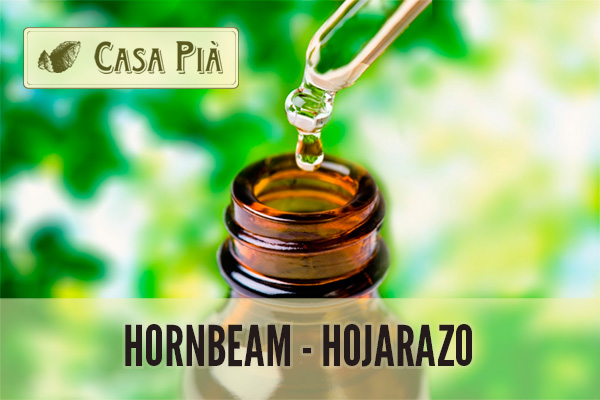 Hornbeam o Hojarazo: Flores de Bach - Herbolario Casa Pià