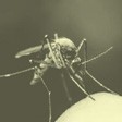 Repelente Mosquitos